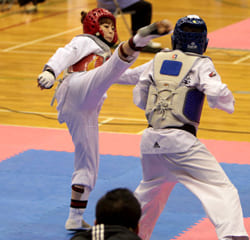 2011 第4回 テコンドー全日本選手権大会